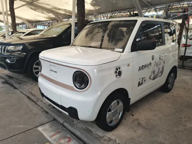 Фотография автомобиля — Geely Panda