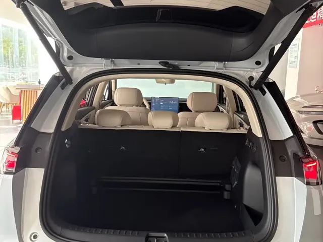 BYD Hai Shi 05 EV — Фото автомобиля 13