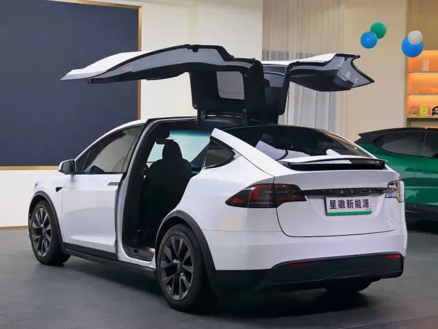 Tesla Model X — Фото автомобиля 24