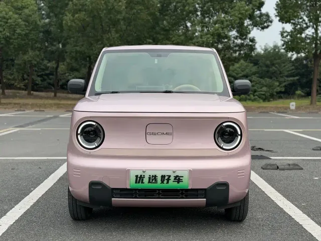Фотография автомобиля — Geely Panda