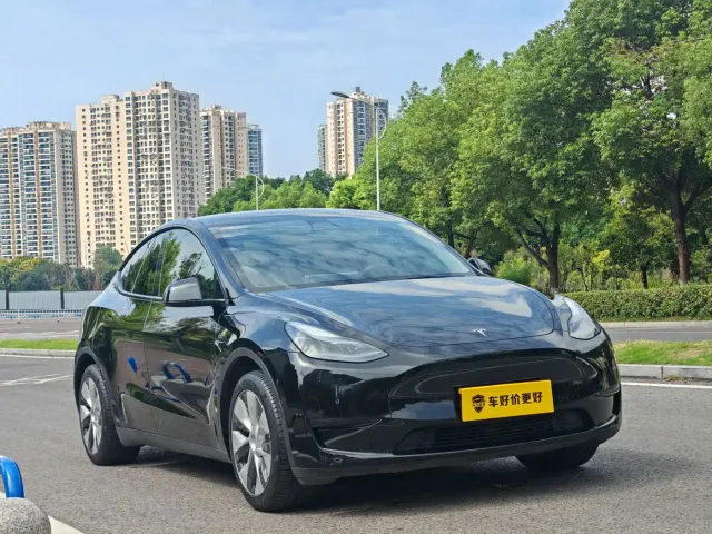 Tesla Model Y — Фото автомобиля 2