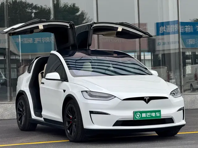 Tesla Model X — Фото автомобиля 8