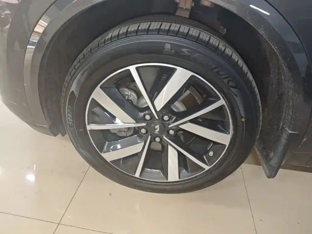Li Auto L8 — Фото автомобиля 22