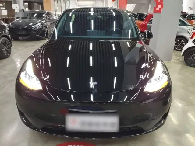 Tesla Model Y — Фото автомобиля 2