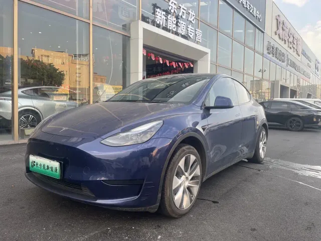 Tesla Model Y — Фото автомобиля 2