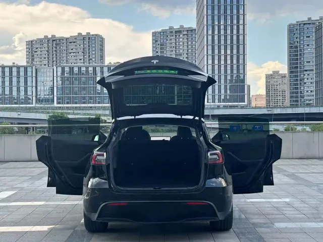 Tesla Model Y — Фото автомобиля 5