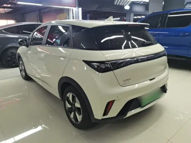 BYD Dolphin — Фото автомобиля 4