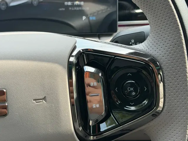 Geely Galaxy Xingyao 8 — Фото автомобиля 15