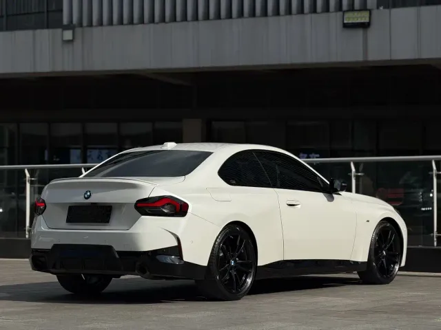 BMW 2 Series — Фото автомобиля 8
