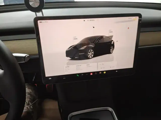 Tesla Model Y — Фото автомобиля 12
