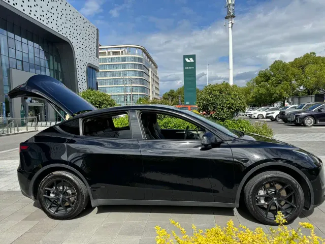 Tesla Model Y — Фото автомобиля 10