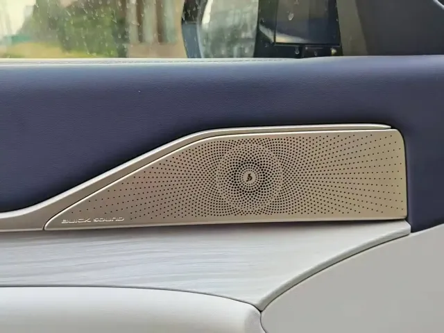 Buick Electra L7 — Фото автомобиля 15