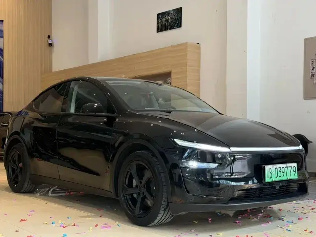 Tesla Model Y — Фото автомобиля 3