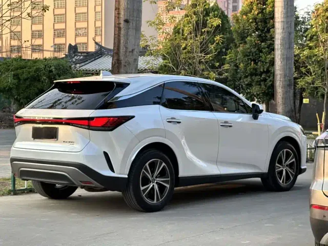 Lexus RX — Фото автомобиля 8