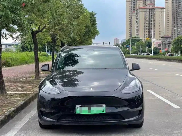 Tesla Model Y — Фото автомобиля 2