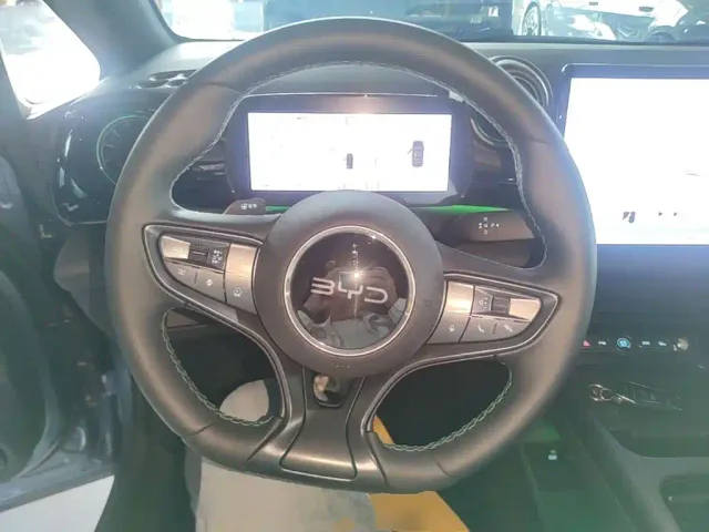 BYD Dolphin — Фото автомобиля 10