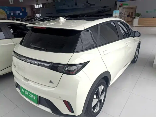 BYD Dolphin — Фото автомобиля 6