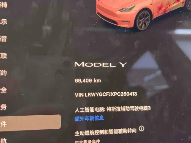 Tesla Model Y — Фото автомобиля 10