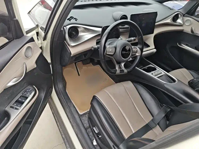BYD Dolphin — Фото автомобиля 15