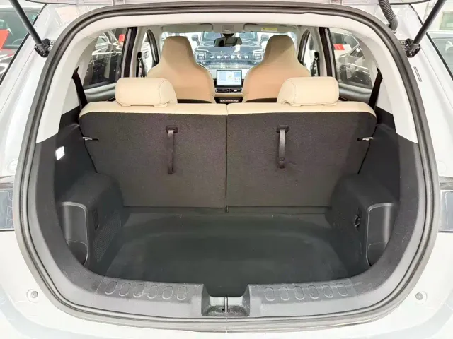 Wuling Binguo PLUS — Фото автомобиля 19