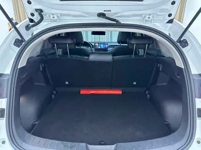 Haval Chitu — Фото автомобиля 16
