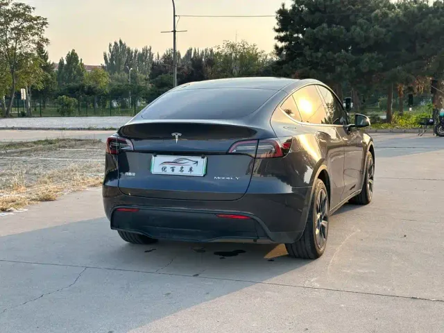 Tesla Model Y — Фото автомобиля 6