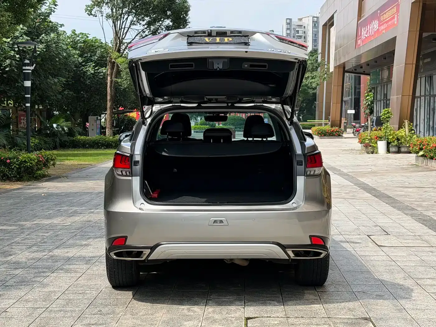 Lexus Lexus RX 2020 300 2WD Elite Edition China VI — Фото автомобиля 16