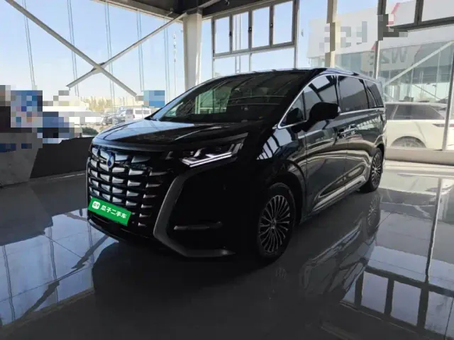 Фотография автомобиля — Denza D9