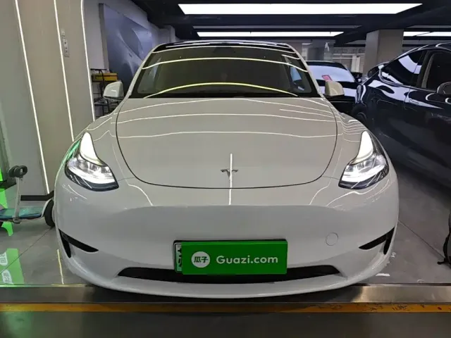 Tesla Model Y — Фото автомобиля 2