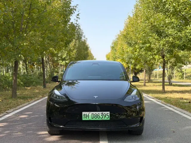 Tesla Model Y — Фото автомобиля 2