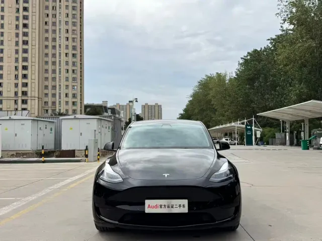 Tesla Model Y — Фото автомобиля 2