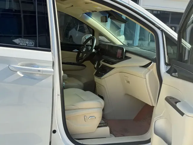 Buick Buick GL8 2021 ES Landlord 653T Premium — Фото автомобиля 13