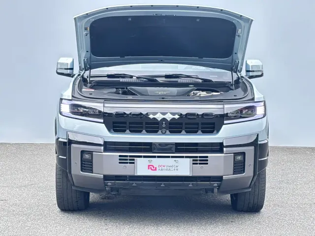 BYD FangChengBao Leopard 8 — Фото автомобиля 10