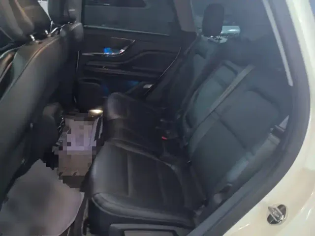 Lincoln Adventurer NEV — Фото автомобиля 16