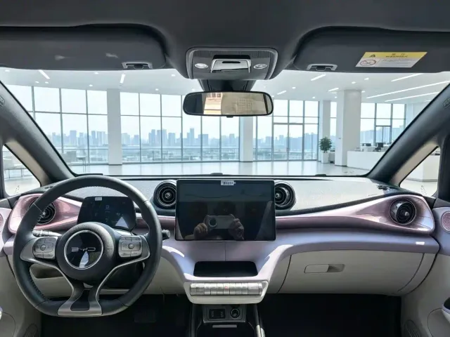 BYD Dolphin — Фото автомобиля 9