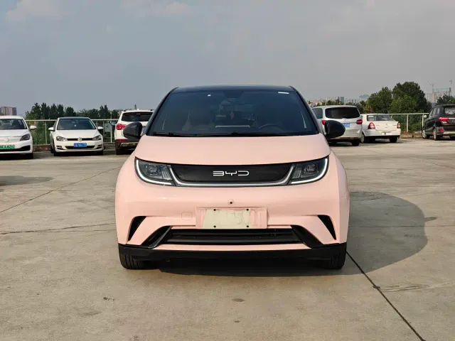 BYD Dolphin — Фото автомобиля 3