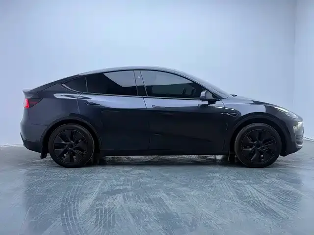 Tesla Model Y — Фото автомобиля 7