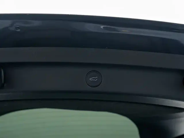 Tesla Model Y — Фото автомобиля 10