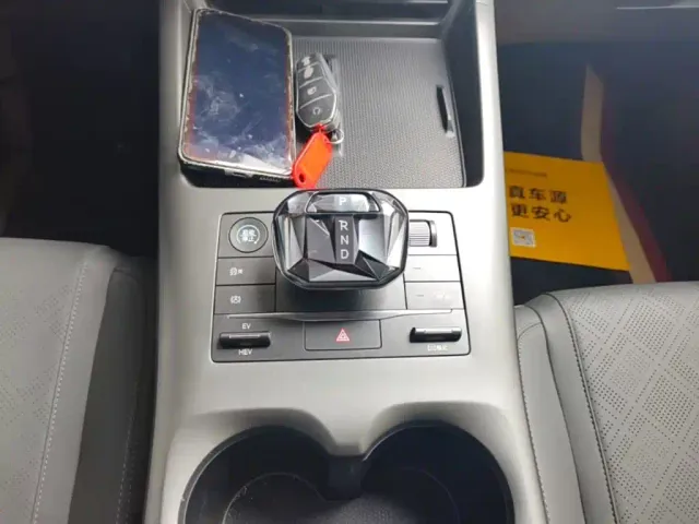 BYD Qin PLUS — Фото автомобиля 13