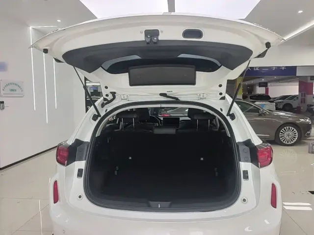 Haval Chitu — Фото автомобиля 18