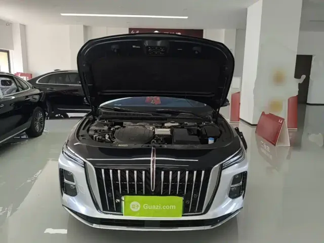 Hongqi H5 PHEV — Фото автомобиля 19