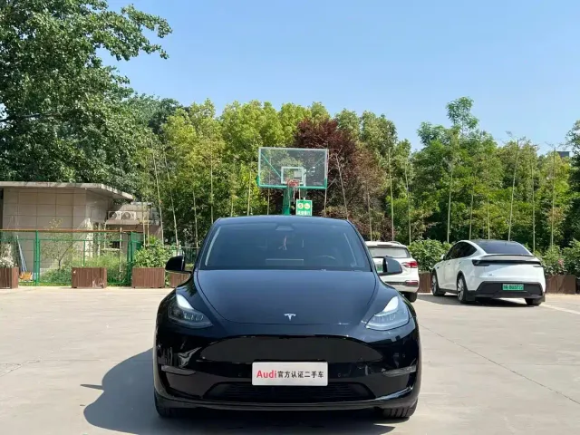 Tesla Model Y — Фото автомобиля 2
