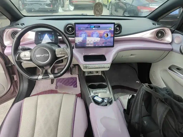 BYD Dolphin — Фото автомобиля 9