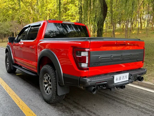 Ford F-150 Raptor — Фото автомобиля 11