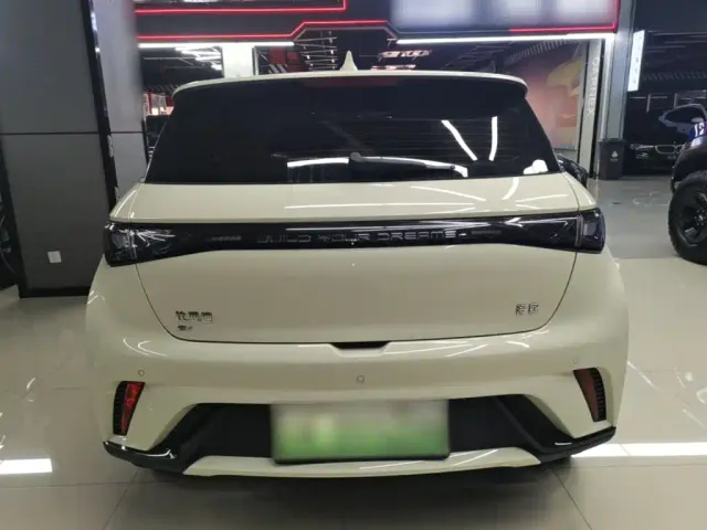 BYD Dolphin — Фото автомобиля 5