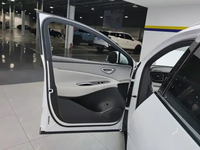 BYD Sealion 06 — Фото автомобиля 7
