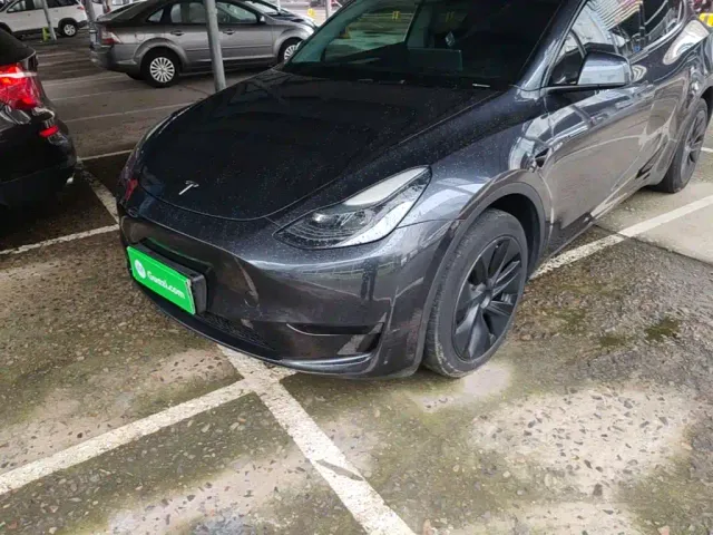 Tesla Model Y — Фото автомобиля 23