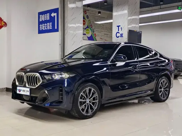 Фотография автомобиля — BMW X6