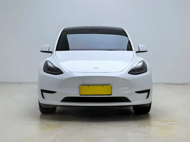 Tesla Model Y — Фото автомобиля 2