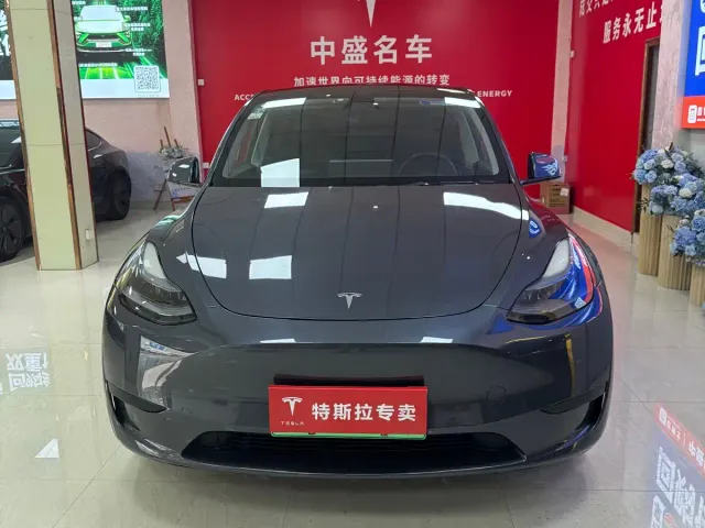 Tesla Model Y — Фото автомобиля 2